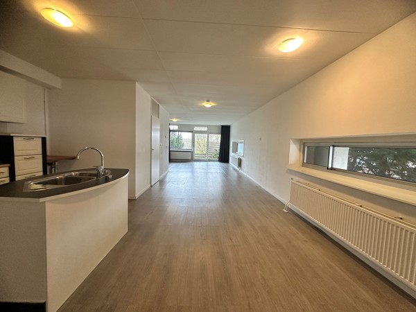 WhatsApp Image 2026-01-29 at 13.26.334.jpeg